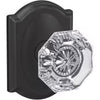 SCHLAGE FC21 - Alexandria/Camelot - Pass/Privacy
